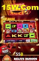 55B Rio de Janeiro - Licenses